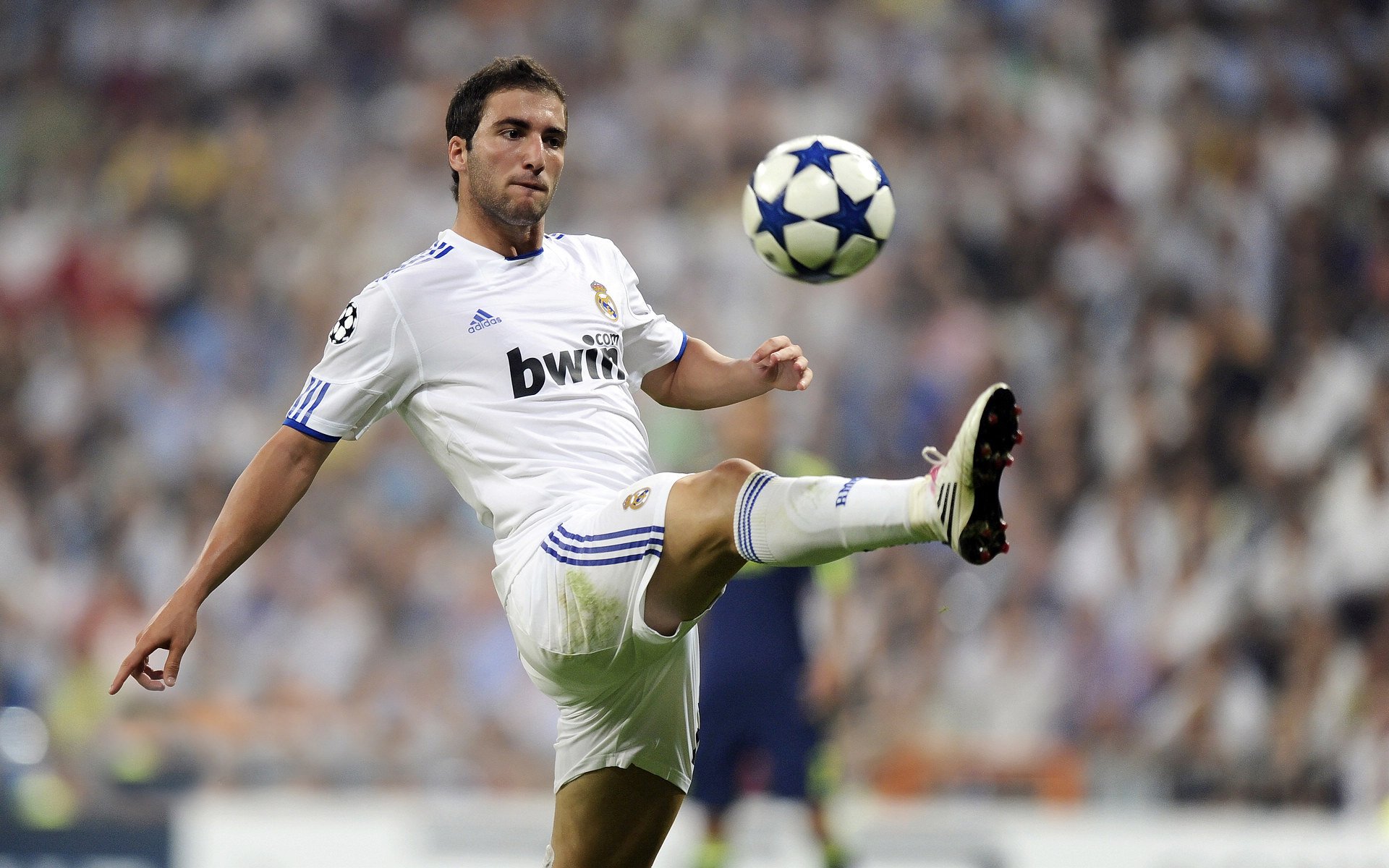 小众运动崛起，飞盘、壁球吸引更多目光，飞盘运动技术